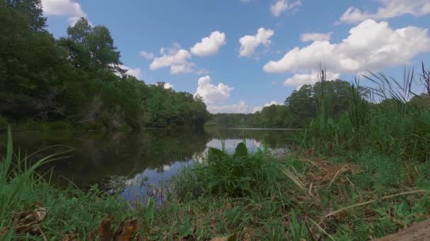 Time Lapse Lago Nubes Blancas Hinchadas Cielo Azul Follaje Exuberante — Vídeo de stock