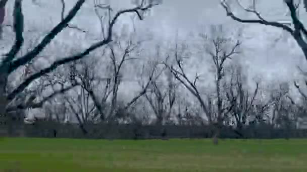 Pan Una Granja Huertos Pecanas Georgia Rural Otoño Con Nubes — Vídeos de Stock