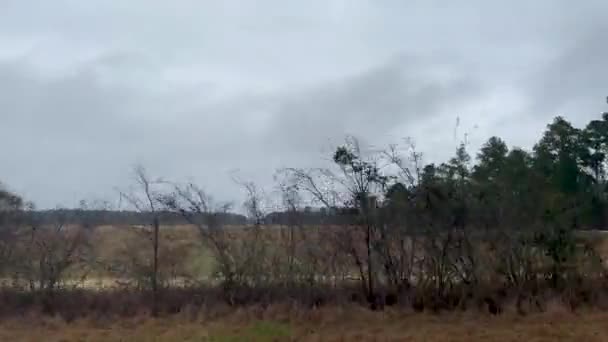 Filas Cosecha Plantada Una Granja Rural Georgia Día Nublado — Vídeos de Stock
