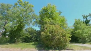 Augusta, Ga USA - 04: 22 22: Sokak Pan terk edilmiş binalar ve evler Augusta şehir merkezinde - 12.