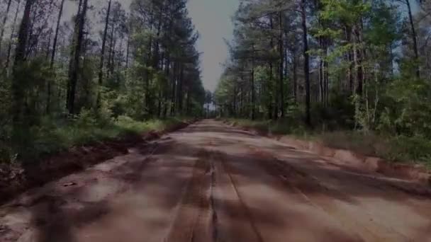 Condado Burke Usa Pov Fpv Conduce Por Camino Tierra Rural — Vídeos de Stock