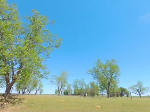 Burke County Usa Pan Rural Farmland Green Paweres Blue Sky — Stockvideo