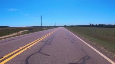 Burke County, Ga USA - 05 01: 21: Gürcistan kırsalındaki bir köy yolunda ineklere ve tarım arazilerine bakın 