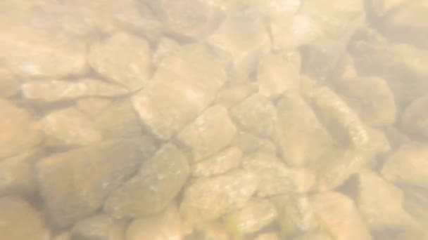 Unterwasser Szene Felsen Und Über Wasser Gegen Eine Wand — Stockvideo