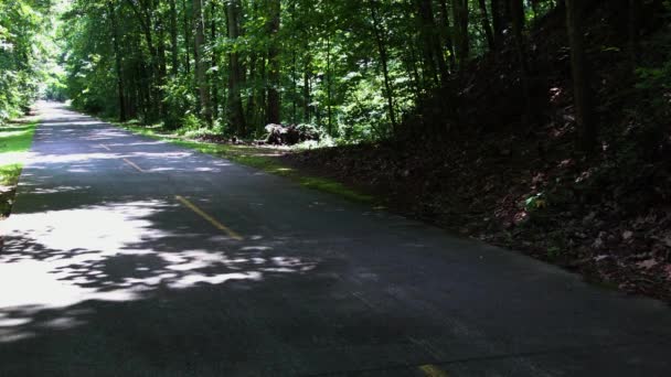 Silver Comet Trail Άνθρωποι Που Οδηγούν Ποδήλατα Στο Βάθος Silver — Αρχείο Βίντεο