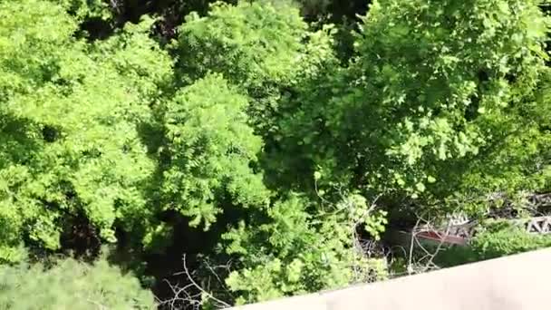 Dallas Usa Ezüst Üstökös Nyomvonal Természetes Gyaloglás Hídsínek Mentén Lefelé — Stock videók