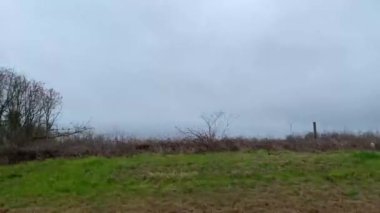 Burke County, Ga USA - 0111 Gürcistan 'ın kırsal kesimindeki yeşil arazi binaları ve kara fırtına bulutları - Hwy 88