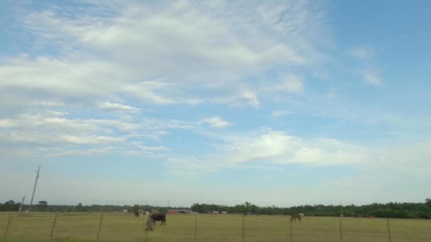佐治亚州农村美丽的农田和牲畜放牧地 在木制铁丝褐色围栏后面有云彩景观和绿色牧场 — 图库视频影像