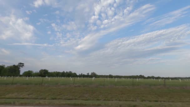 ジョージアの夏には新しい植物の種の木と雲の多い農地の白い杭の遅いパン — ストック動画