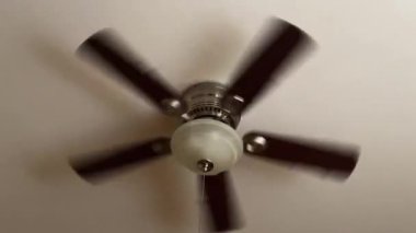 Kahverengi tavan vantilatörü klasik ışık kubbesiyle dönüyor.