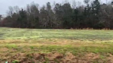 Bulutlu bir günde Georgia kırsalında yemyeşil yemyeşil tarlalar