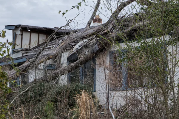 Roof Abandoned House Smashed Tree Overgrown — Stock Photo, Image