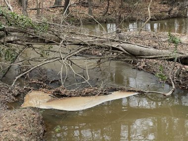 Georgia kırsalında bir nehir akıntısı ve sonbahar yeşilliği.