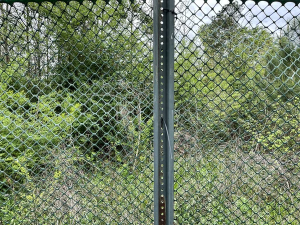 Green Mesh Chainlink Fence Post Nature Background — Stock Photo, Image