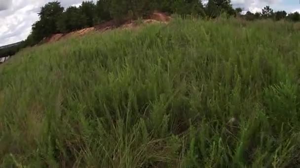 Klimmen Naar Top Van Een Grazige Heuvel Zomer Het Land — Stockvideo