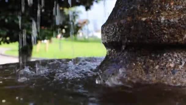 Nahaufnahme Eines Brunnens Und Der Natur Mit Verkehrshintergrund — Stockvideo