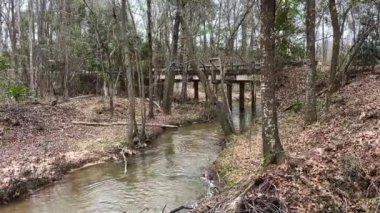 Georgia 'da sonbaharda uzak bir köprünün altından akan küçük bir nehir. 