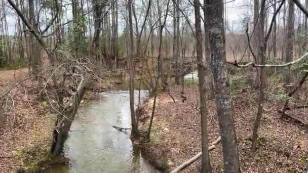 Une Rivière Qui Coule Travers Forêt Automne Avec Une Petite — Video
