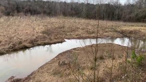 Een Rivier Kleine Rivier Door Een Moeras Herfst Georgia — Stockvideo