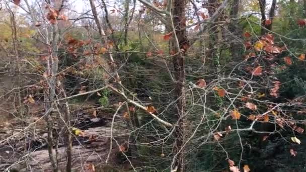 Panoramique Une Rivière Pont Ferroviaire Géorgie Rurale — Video