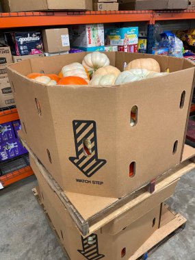 Warrenton, Ga USA - 09: 20 25: Bir çöp kutusunda çeşitli renkli balkabakları