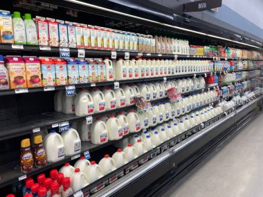 Warrenton, Ga USA - 09: 20 25: Food Lion Market Süt Bölümü
