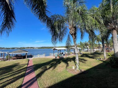 Winter Haven, Fla USA - 11.07 Roy Gölü Açık mavi gökyüzü Güzel palmiye ağaçları