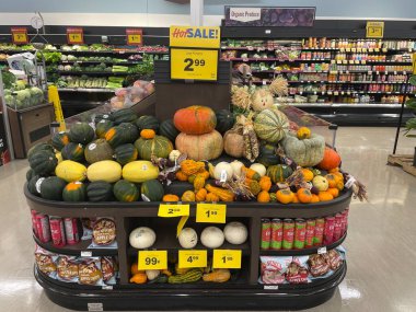 Warrenton, SC USA - 105 05: 25: Market Sonbahar Balkabağı Tatilleri