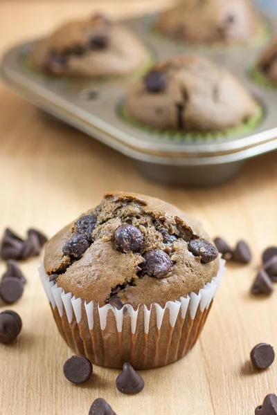 Chocolate Chocolate Chip Muffins — Stock Photo, Image