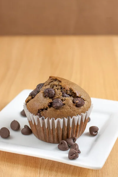 Choklad choklad chip muffins — Stockfoto