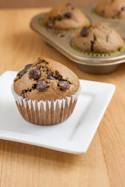 Chocolate Chocolate Chip Muffins — Stock Photo, Image