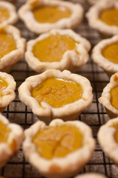 Tamaño de la mordedura pastel de calabaza — Foto de Stock