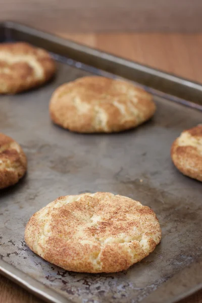 Čerstvé pečené snicker doodle soubory cookie — Stock fotografie