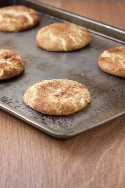 Fresh baked Snicker Doodle Cookies — Stock Photo, Image
