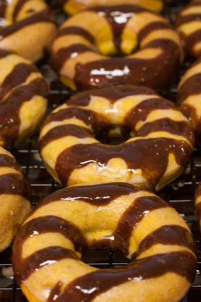 Гарбуз пончики — стокове фото