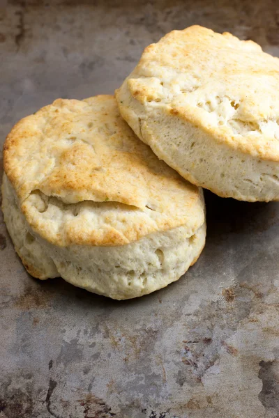 Homemade Biscuits — Stock Photo, Image