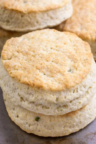 Galletas caseras — Foto de Stock