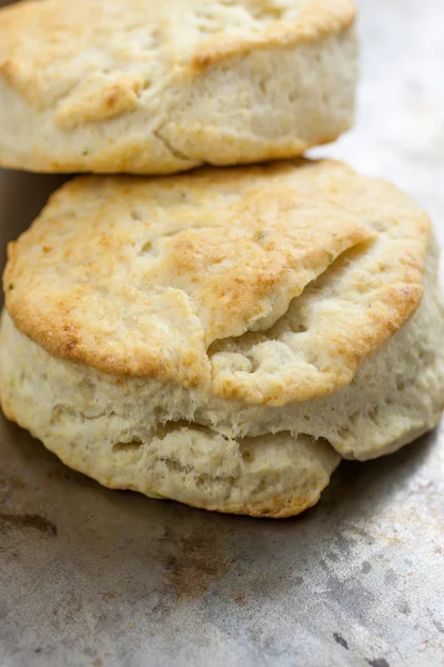 Homemade Biscuits — Stock Photo, Image