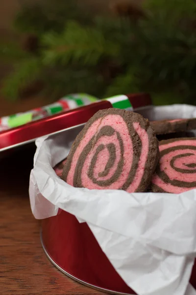 Chocolate Peppermint Pinwheel Cookies — Stock Photo, Image