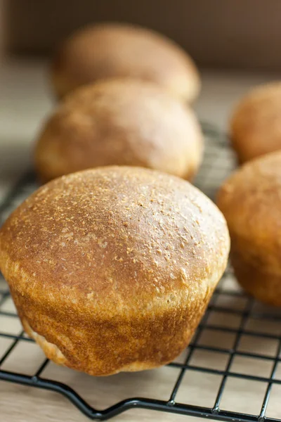 Rotoli interi di grano — Foto Stock