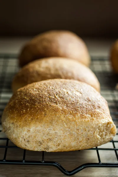 Rotoli interi di grano — Foto Stock