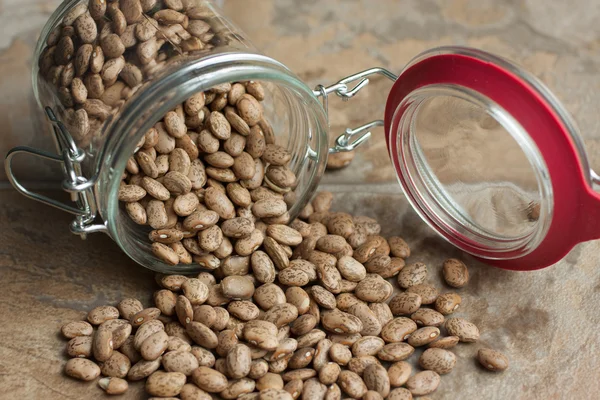 Pinto Beans in a jar — Stock Photo, Image