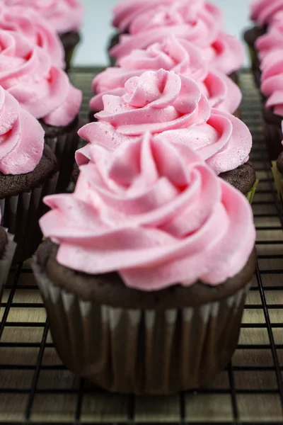 Pembe krema ile çikolata Cupcakes — Stok fotoğraf