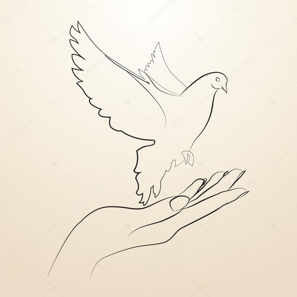 Doves Hand Drawn Illustration Stock Illustration - Download Image Now -  Pigeon, Dove - Bird, Drawing - Activity - iStock