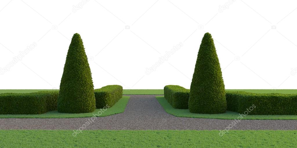 Topiary composition. Symmetrical shapes of bushes and trees.