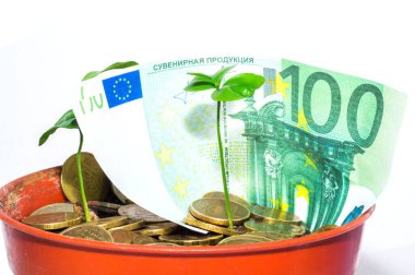 İzole edilmiş beyaz arka planda bir bitkiye sahip para, madeni paralar mali büyümeyi simgeler