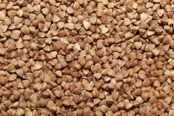 doku - eski ahşap kurullarında çok renkli