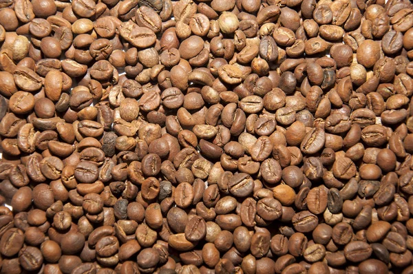 doku - eski ahşap kurullarında çok renkli