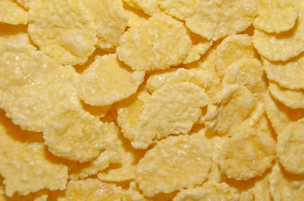 doku - eski ahşap kurullarında çok renkli