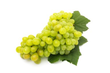 beyaz üzüm